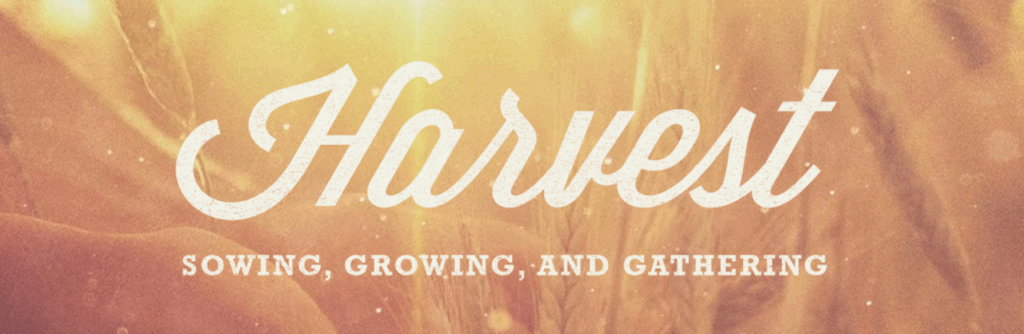 Harvest graphic
